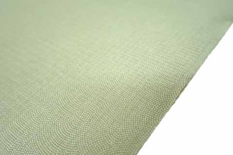 絽江戸小紋の拡大図