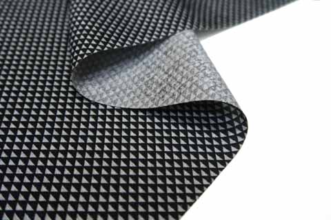 鱗の部分拡大図