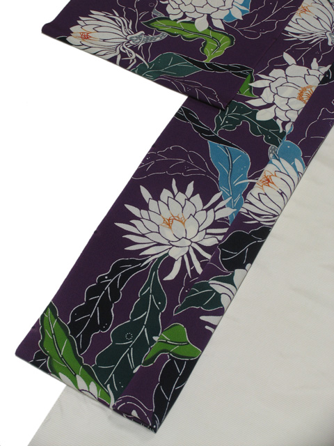 長羽織のイメージ