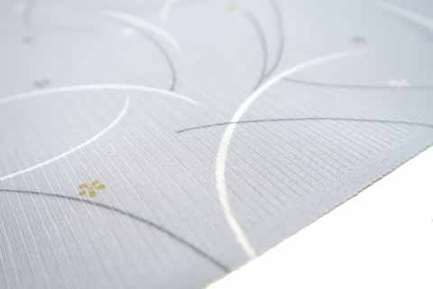 絽小紋の拡大図