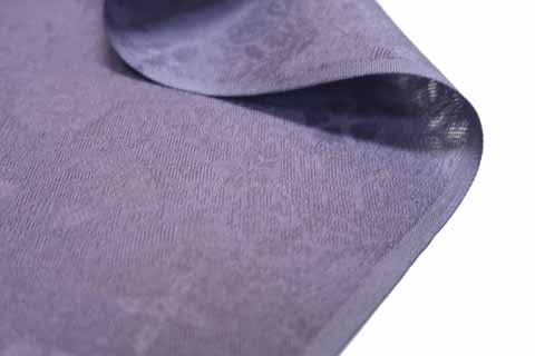 紋紗着尺の生地の拡大図